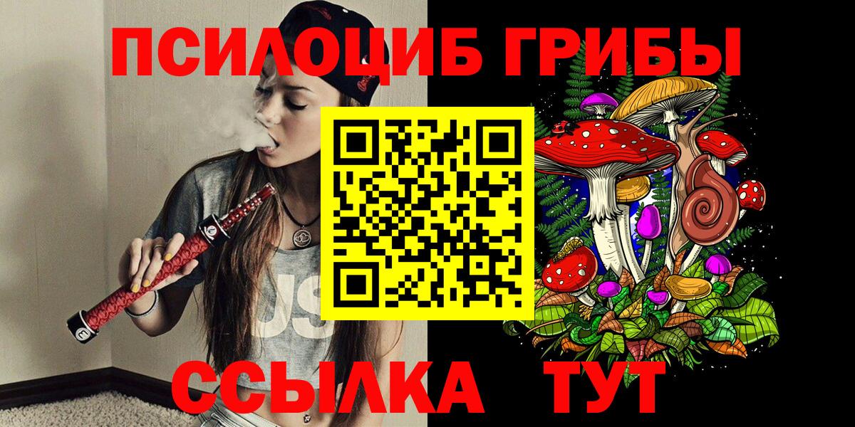 купить   Псилоцибиновые грибы прущие грибы  Вход с VPN  Шебекино 